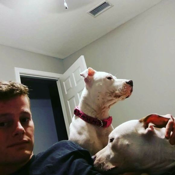 Meet your Posher, Kendall - Picture 1 of 1